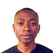 Olugbenga Olusegun Ogunbowale Olugbenga Olusegun Ogunbowale
